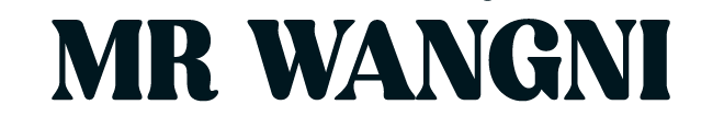 Mr wangni visual